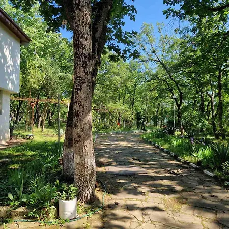 Alojamento de Turismo Selvagem 